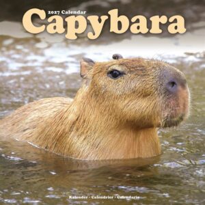 Capybara Calendar 2027