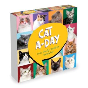 Cat A Day Desk Calendar 2027