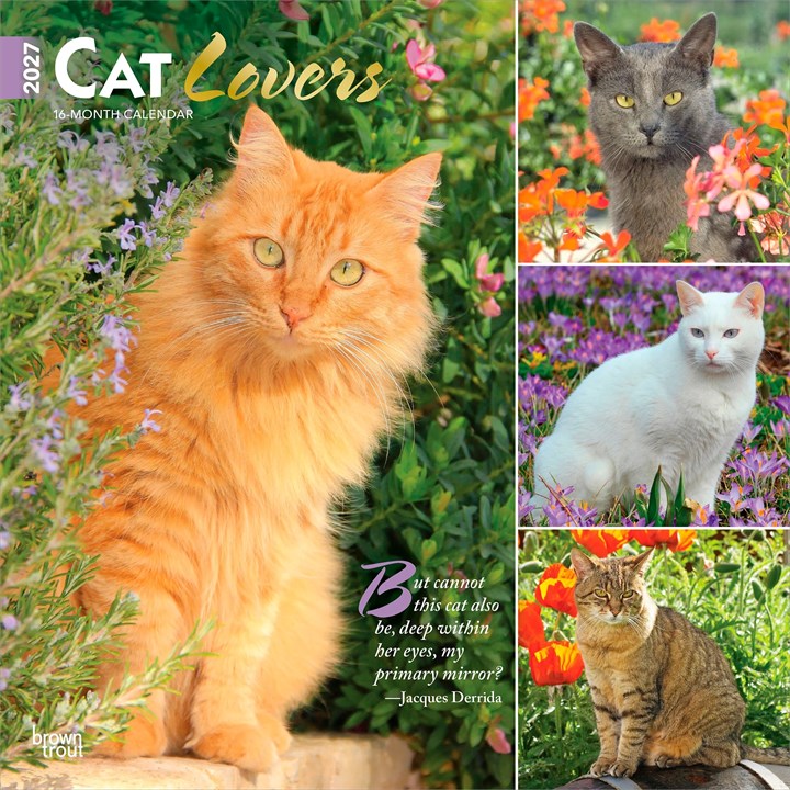 Cat Lovers Calendar 2027