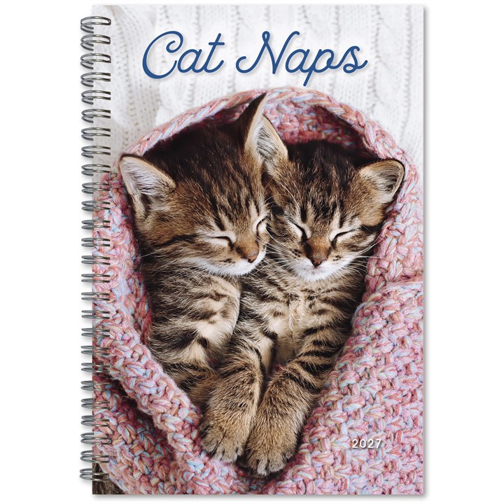 Cat Naps A5 Diary 2027