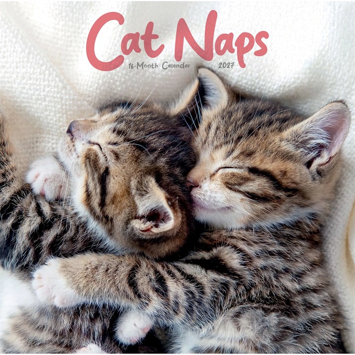 Cat Naps Calendar 2027