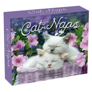Cat Naps Desk Calendar 2027