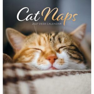 Cat Naps Easel Desk Calendar 2027