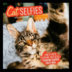 Cat Selfies Calendar 2027