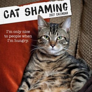 Cat Shaming Calendar 2027