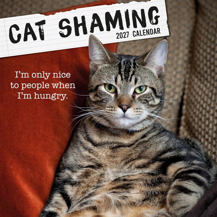 Cat Shaming Calendar 2027