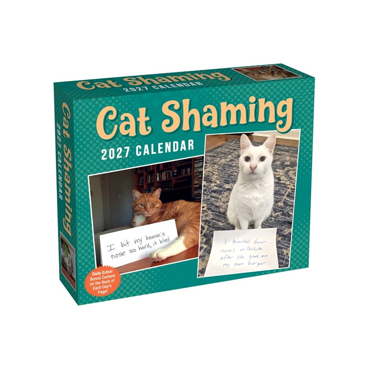 Cat Shaming Desk Calendar 2027