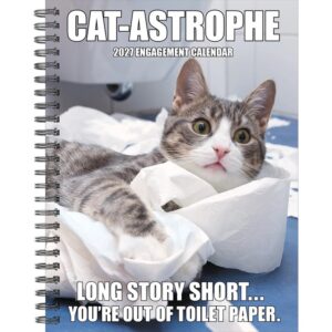 Cat-astrophe A5 Diary 2027