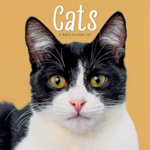 Cats Calendar 2027
