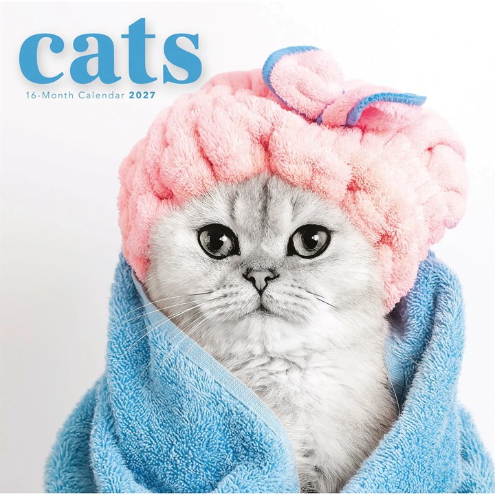 Cats Calendar 2027