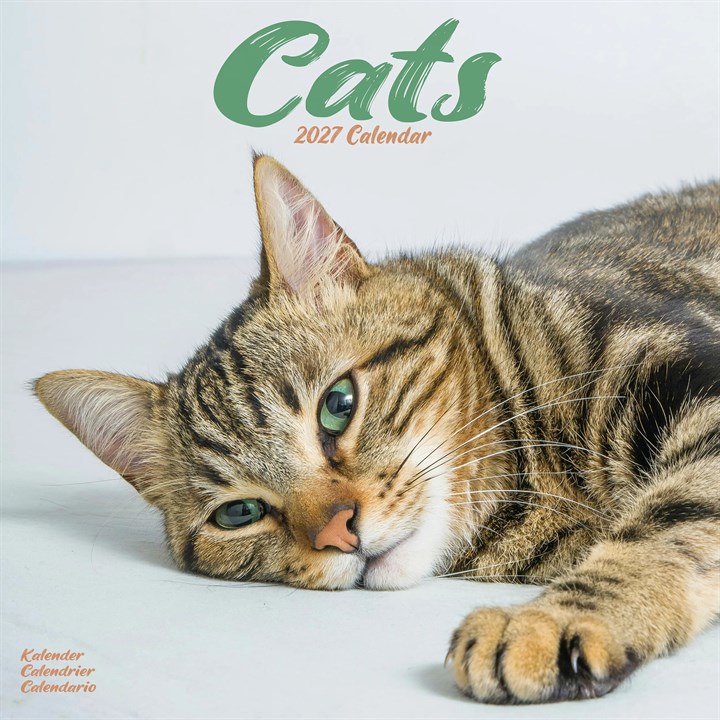 Cats Calendar 2027
