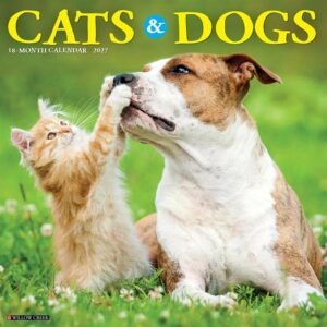 Cats & Dogs Calendar 2027