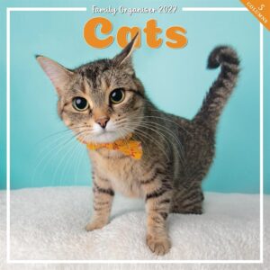 Cats Family Organiser 2027