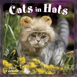 Cats In Hats Mini Calendar 2027