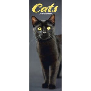 Cats Slim Calendar 2027