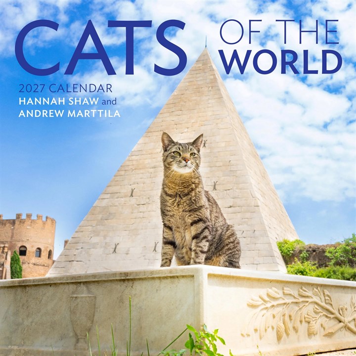Cats of the World Calendar 2027