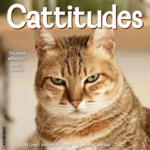 Cattitudes Calendar 2027