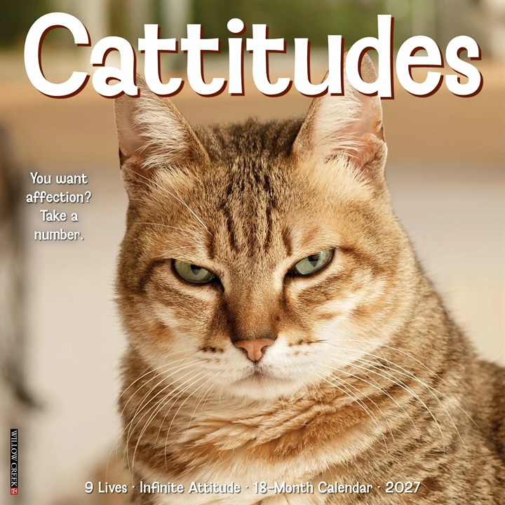 Cattitudes Calendar 2027
