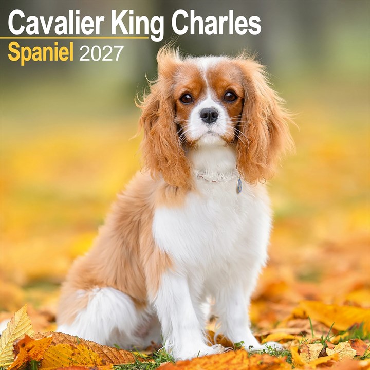 Cavalier King Charles Spaniel Calendar 2027