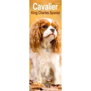 Cavalier King Charles Spaniel Slim Calendar 2027