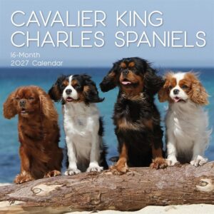Cavalier King Charles Spaniels Calendar 2027