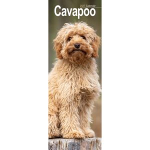 Cavapoo Slim Calendar 2027