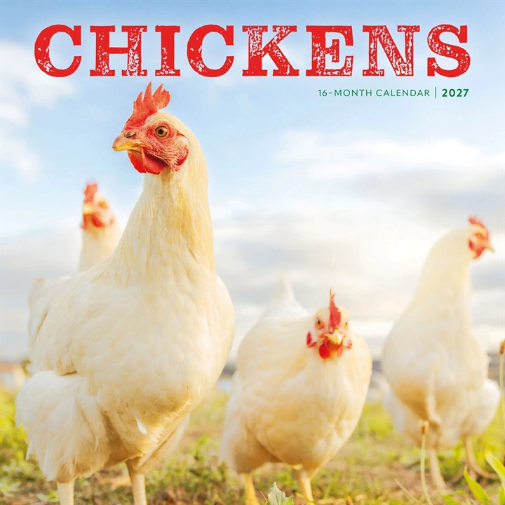 Chickens Calendar 2027