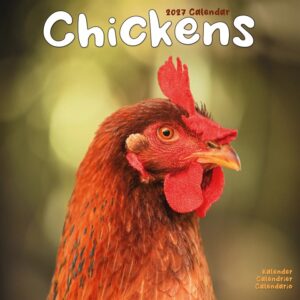Chickens Calendar 2027