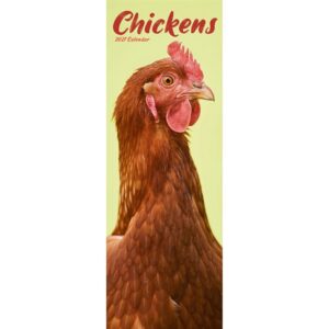 Chickens Slim Calendar 2027