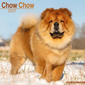 Chow Chow Calendar 2027