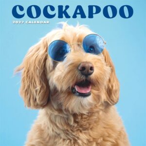 Cockapoo Calendar 2027
