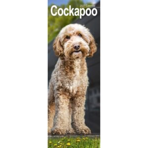 Cockapoo Slim Calendar 2027
