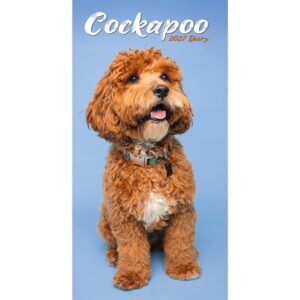 Cockapoo Slim Diary 2027