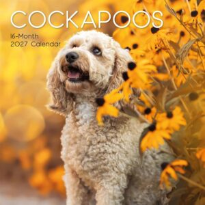 Cockapoos Calendar 2027