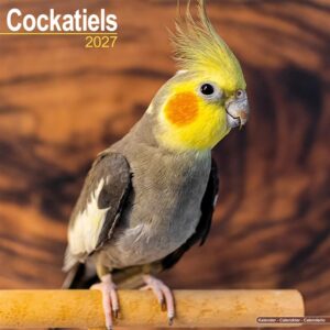 Cockatiels Calendar 2027