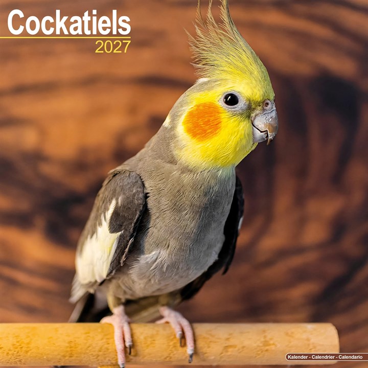 Cockatiels Calendar 2027