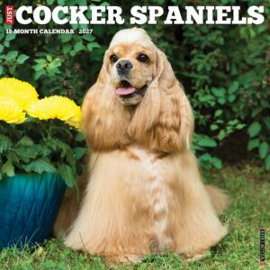 Cocker Spaniels Calendar 2027