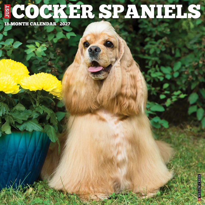 Cocker Spaniels Calendar 2027