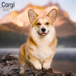 Corgi Calendar 2027
