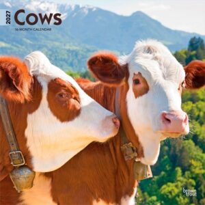 Cows Calendar 2027