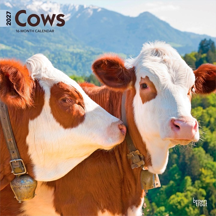 Cows Calendar 2027