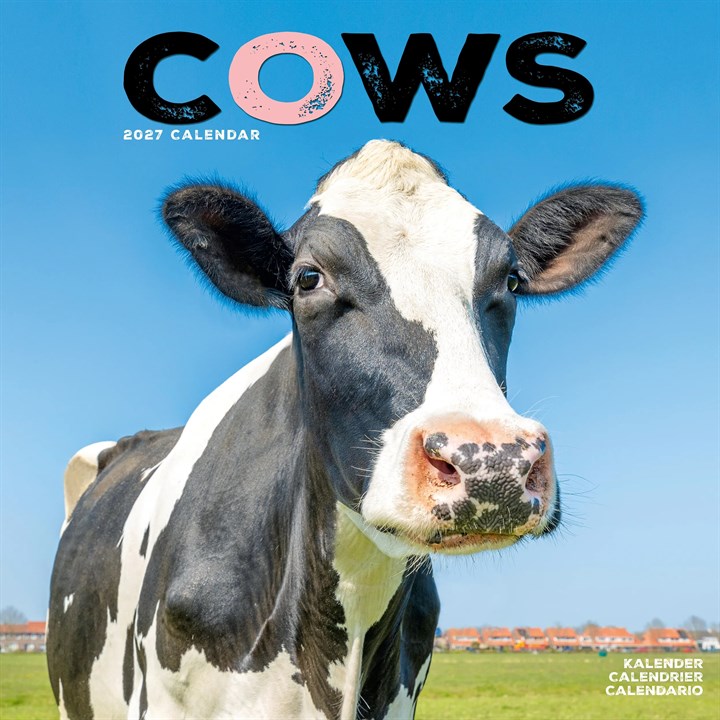 Cows Calendar 2027