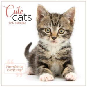 Cute Cats Calendar 2027