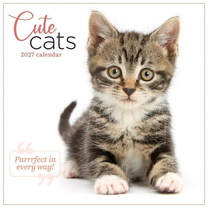 Cute Cats Calendar 2027