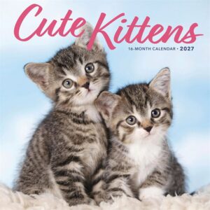 Cute Kittens Calendar 2027