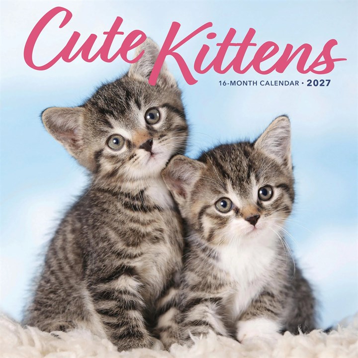 Cute Kittens Calendar 2027