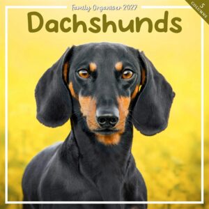 Dachshund Family Organiser 2027