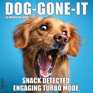 Dog Gone It Calendar 2027
