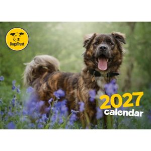 Dogs Trust A4 Calendar 2027