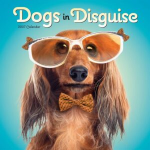 Dogs in Disguise Calendar 2027